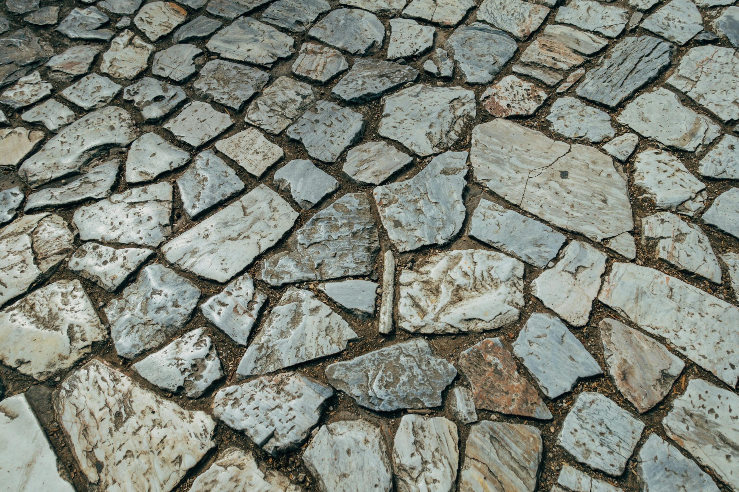 pexels-markus-winkler-1430818-5881676